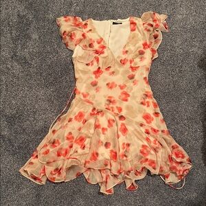 Vici Cream and Red Floral Mini Dress